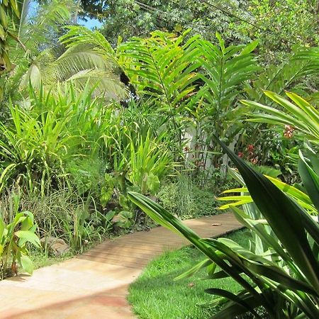 Pousada Coqueiro Verde Itacare Luaran gambar
